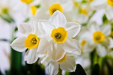 Steam特别好评！《僚机计划》38元新史低促销